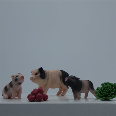 Schleich 42422 NEW!! Miniature Pig Mother & Piglets 