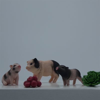 Animal Miniature Pig Mother Piglets Schleich