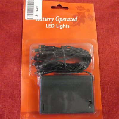 LEDS 15 À PILES INTERIEUR